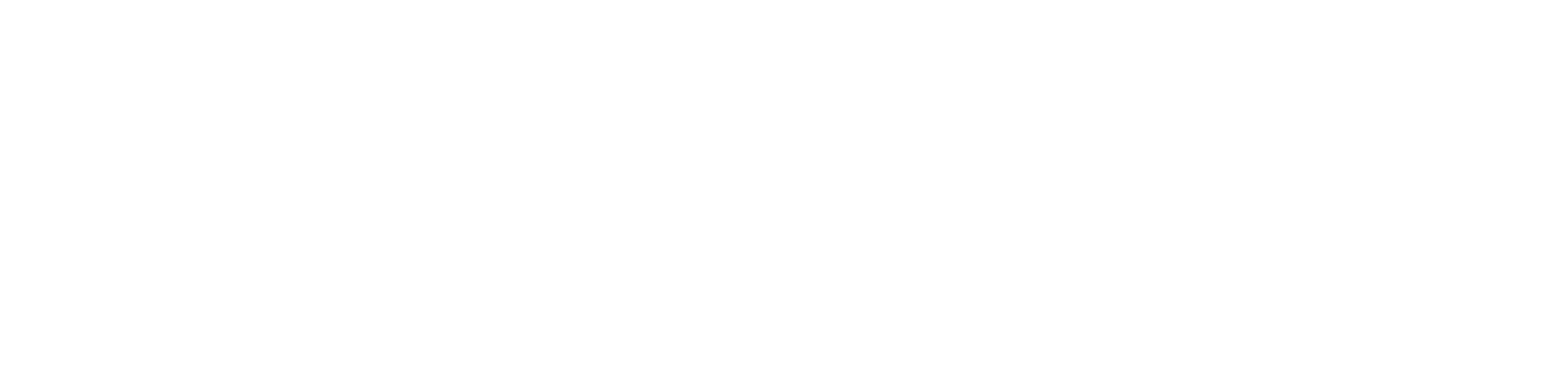 CaseMed Legal Nurse Consulting